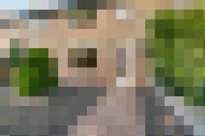 Graslaan 137 Arnhem thumbnail 40