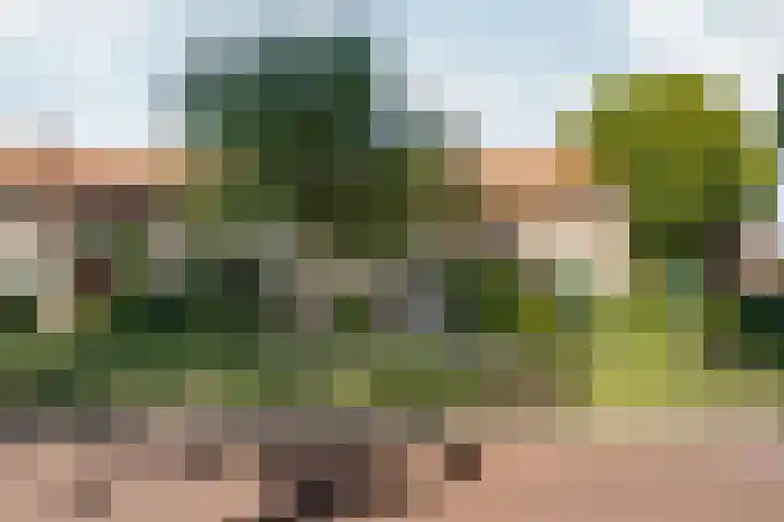 Graslaan 137 Arnhem thumbnail 41