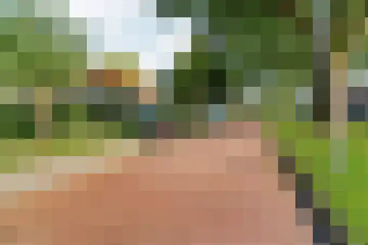 Graslaan 137 Arnhem thumbnail 42