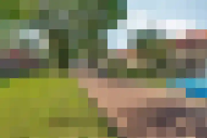 Graslaan 137 Arnhem thumbnail 43