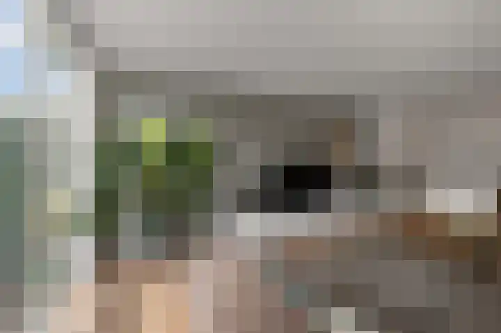 Graslaan 17 De Kwakel thumbnail 11