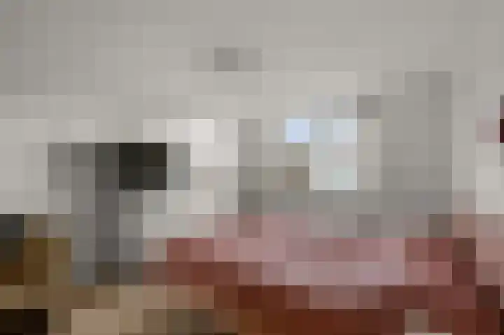 Graslaan 17 De Kwakel thumbnail 15
