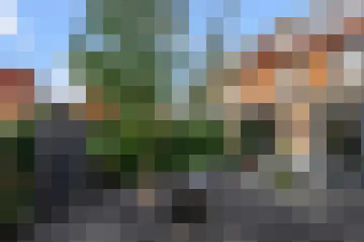 Graslaan 17 De Kwakel thumbnail 31