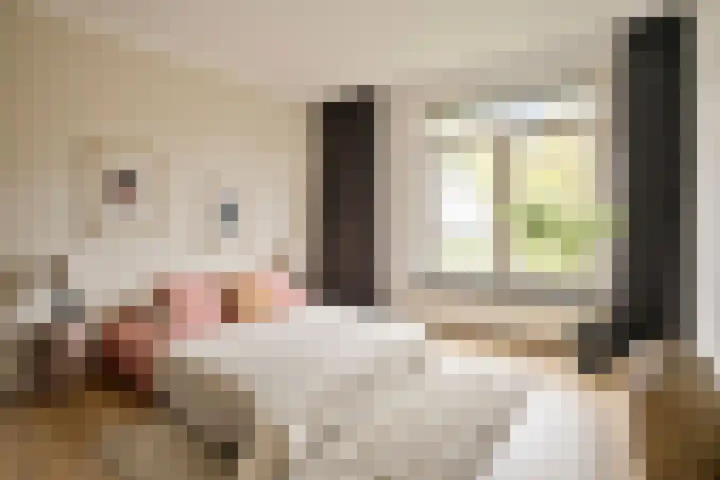 Graslaan 41 2 Arnhem thumbnail 19