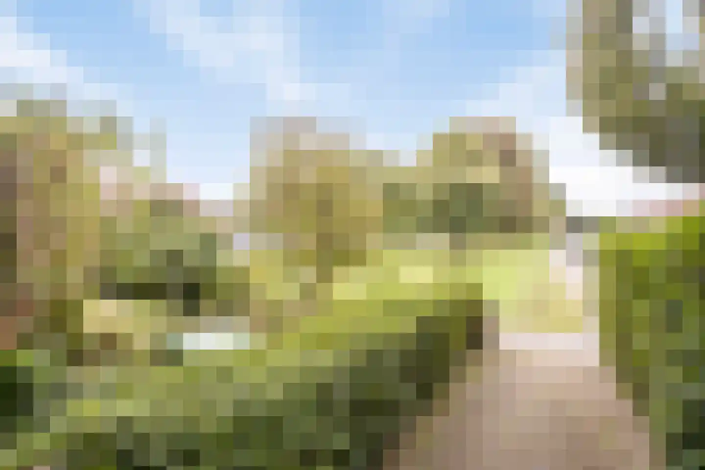 Graslaan 41 2 Arnhem thumbnail 26
