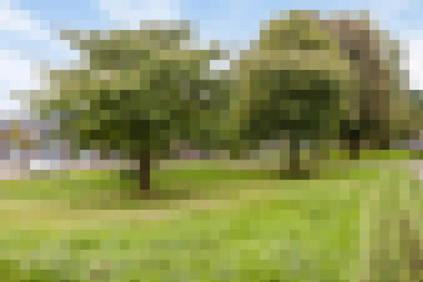 Graslaan 41 2 Arnhem thumbnail 27