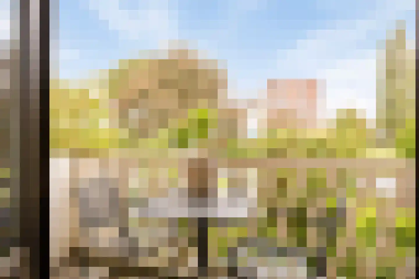 Graslaan 41 2 Arnhem thumbnail 8