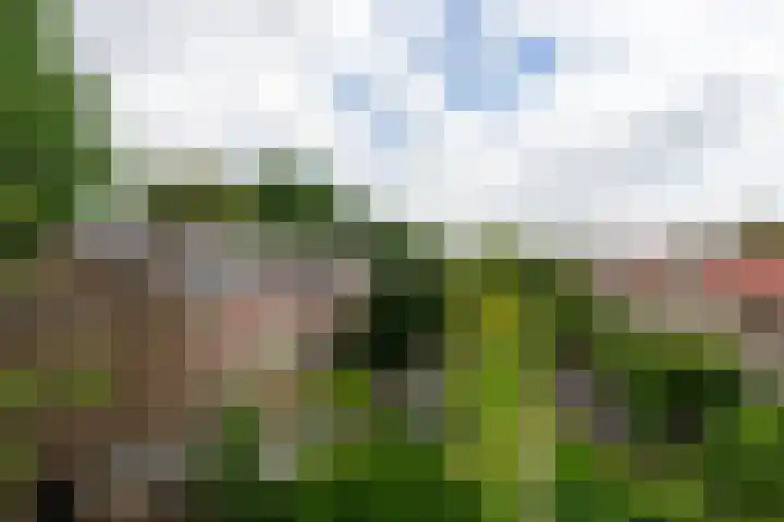 Graslaan 5 4 Arnhem thumbnail 16