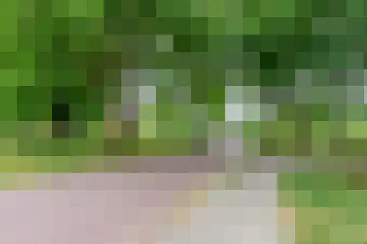 Graslaan 5 4 Arnhem thumbnail 28