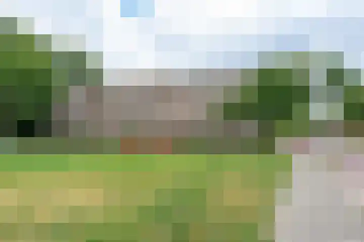 Graslaan 5 4 Arnhem thumbnail 32