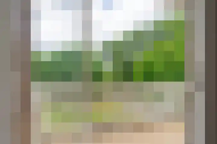Graslaan 5 4 Arnhem thumbnail 7
