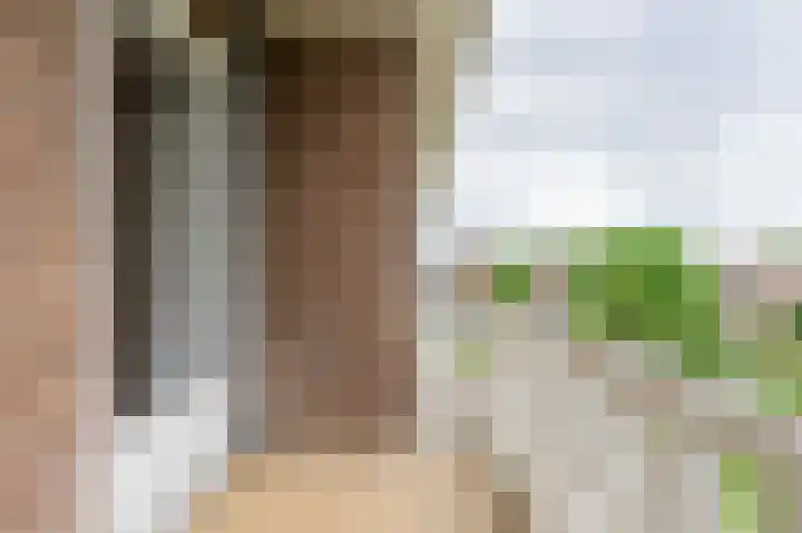 Graslaan 5 4 Arnhem thumbnail 8