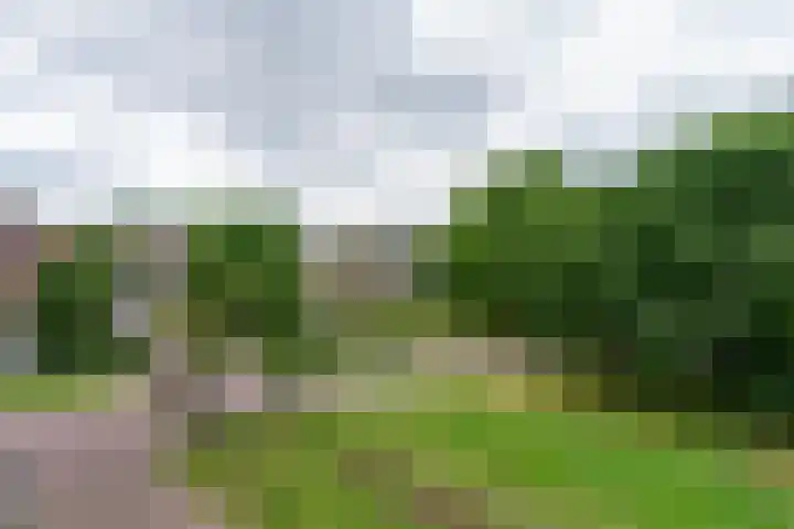 Graslaan 5 4 Arnhem thumbnail 9