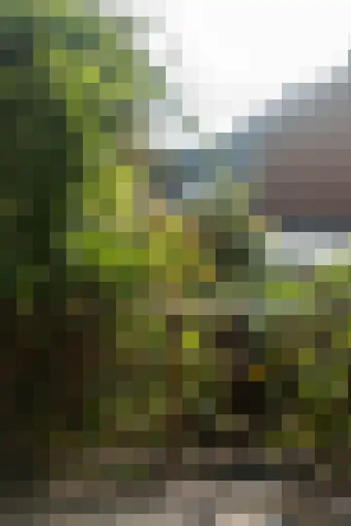 Graslaan 62 Arnhem thumbnail 15