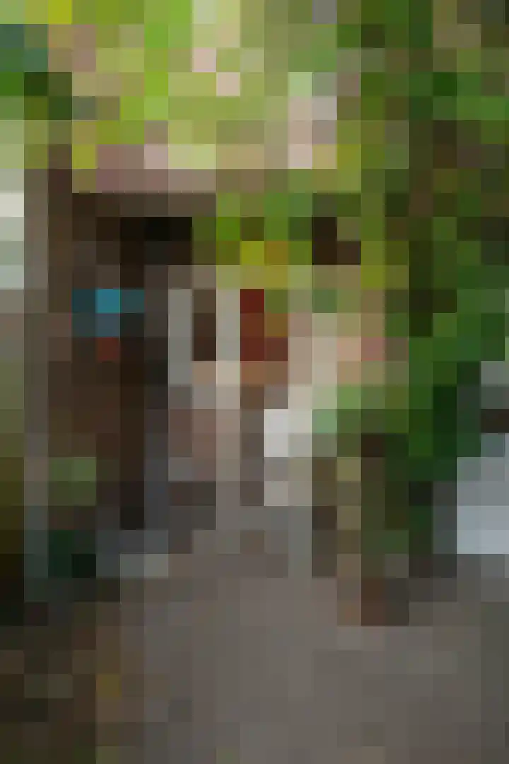 Graslaan 62 Arnhem thumbnail 25