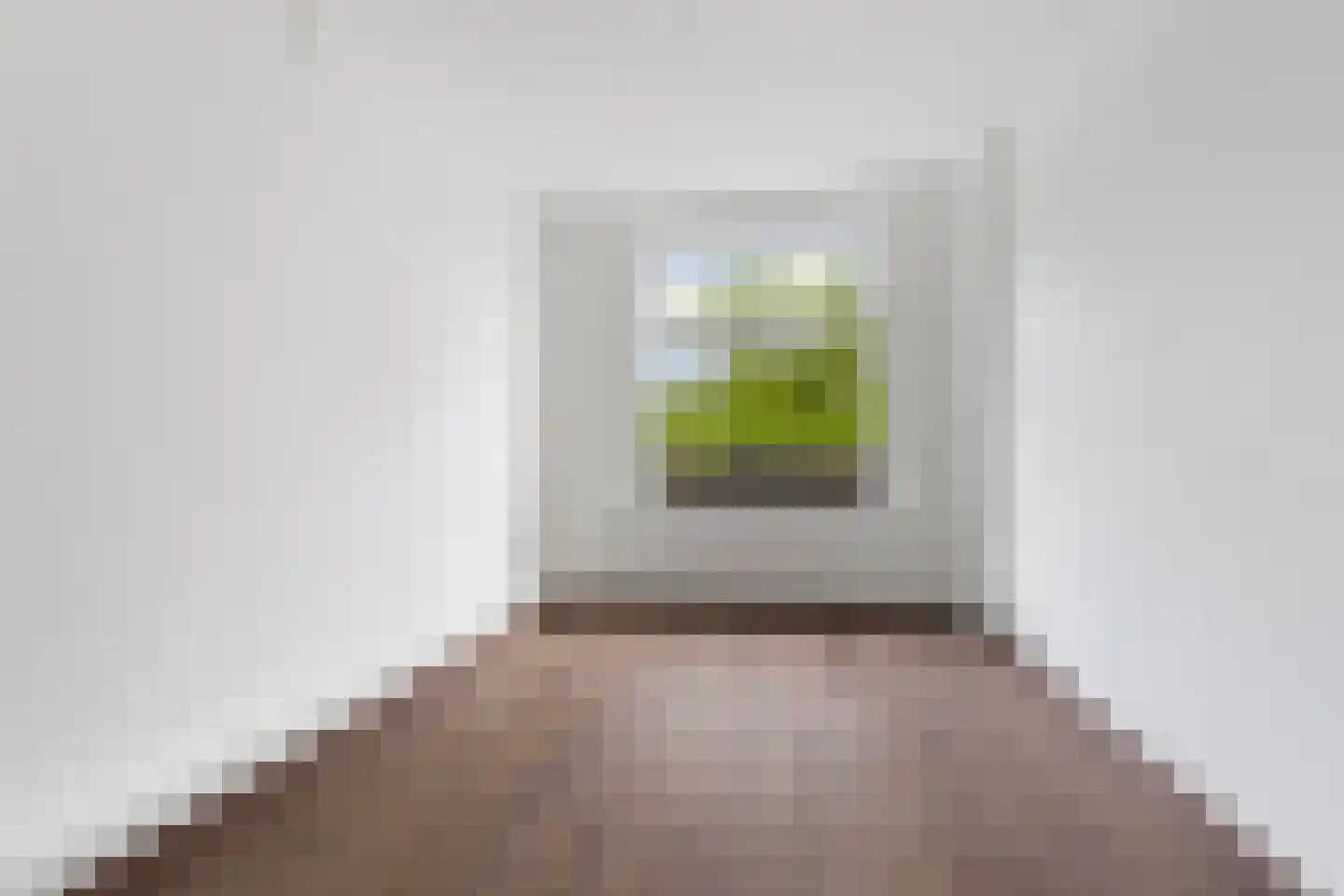 Graslaan 9 1 Arnhem thumbnail 12
