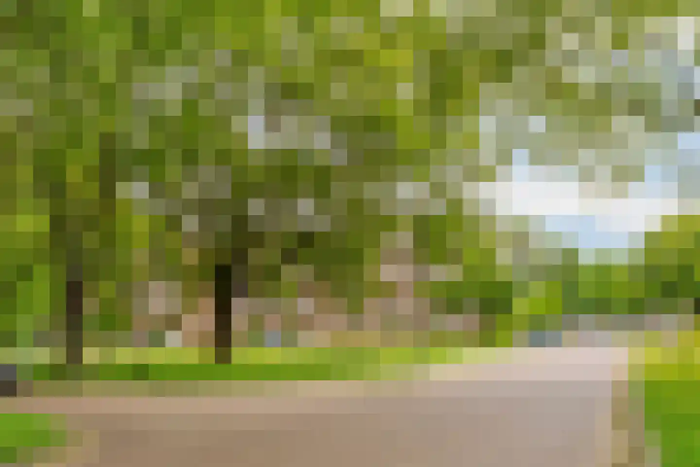 Graslaan 9 1 Arnhem thumbnail 34