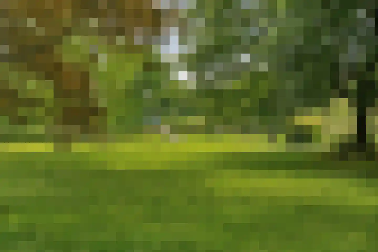 Graslaan 9 1 Arnhem thumbnail 35