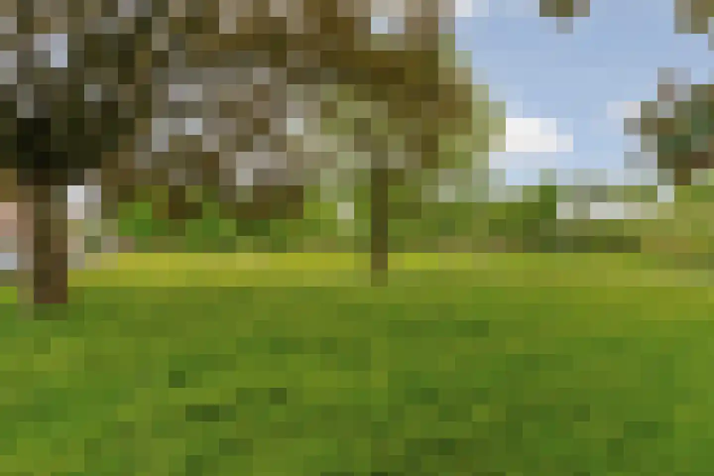 Graslaan 9 1 Arnhem thumbnail 36
