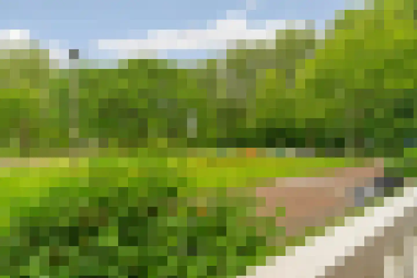 Graslaan 9 1 Arnhem thumbnail 8