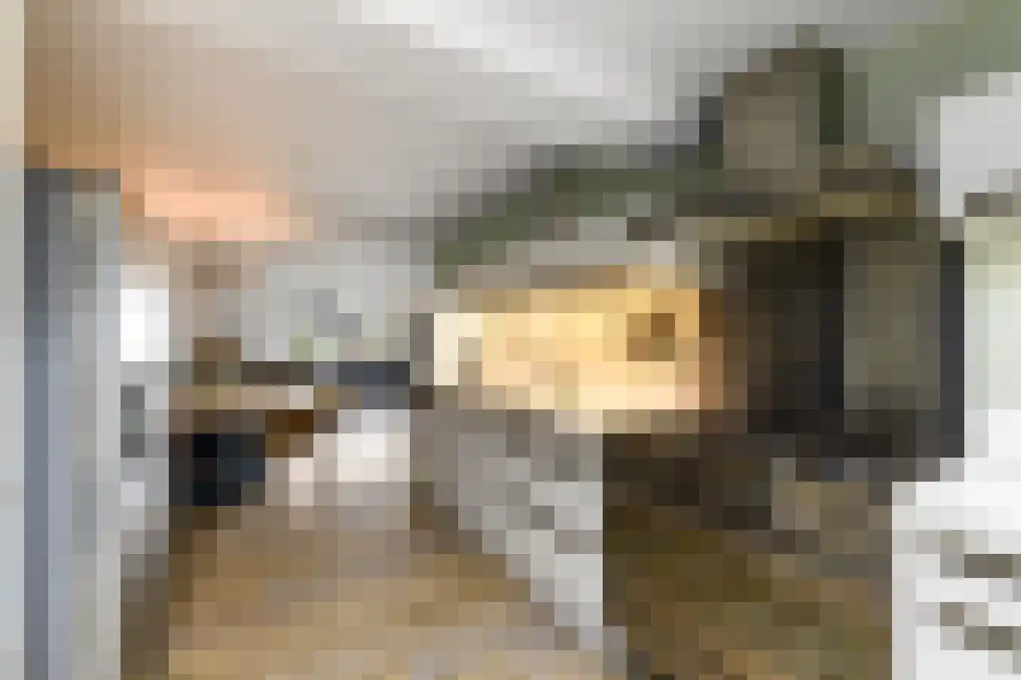 Grasland 11 Drachten thumbnail 17