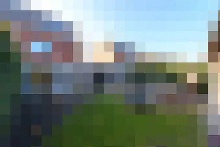 Grasland 11 Drachten thumbnail 38