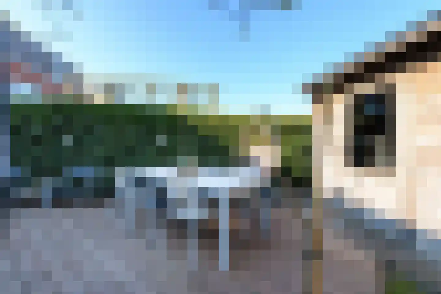 Grasland 11 Drachten thumbnail 39