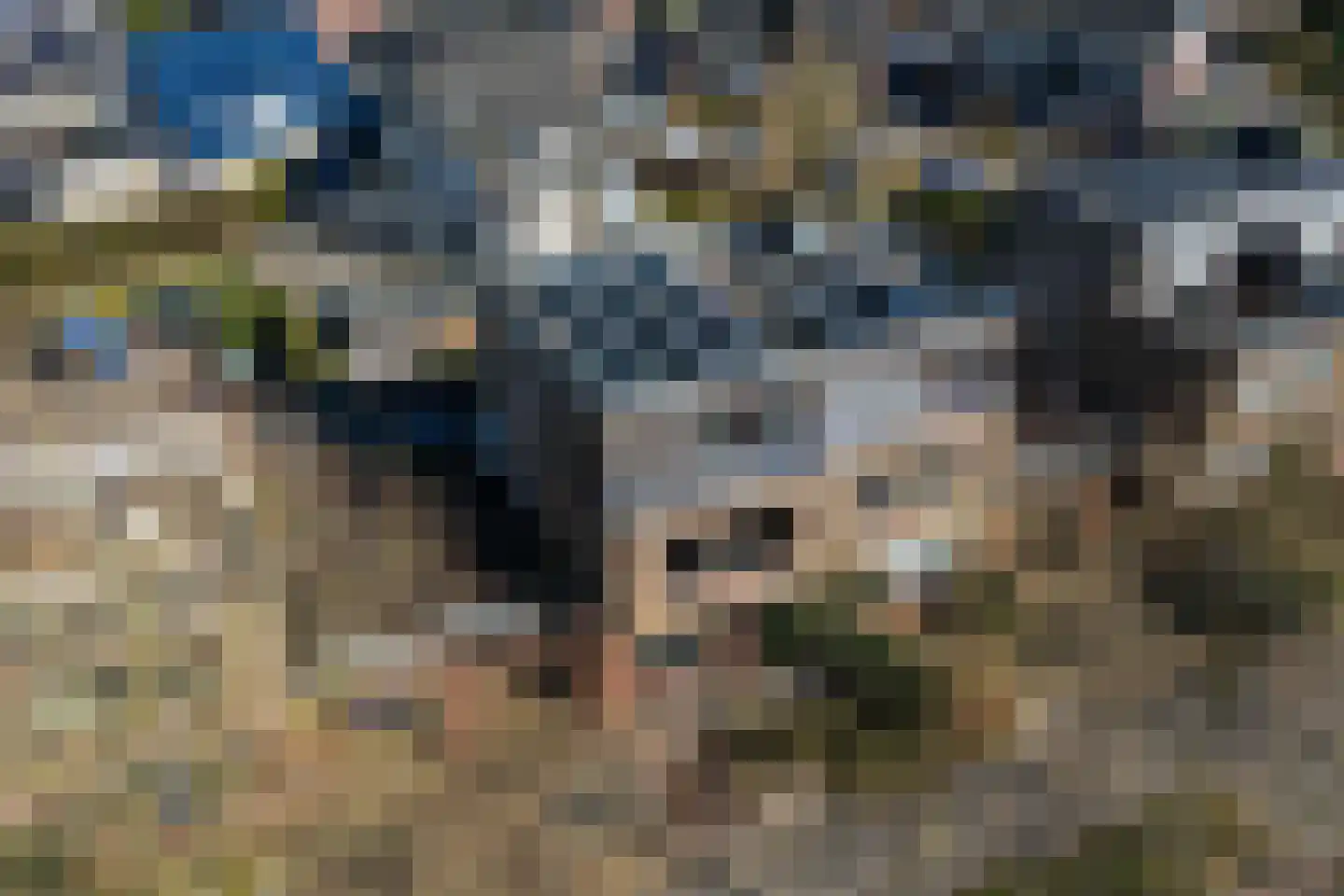 Grasland 11 Drachten thumbnail 44