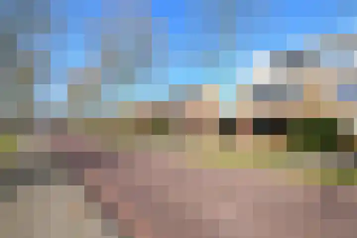 Grasland 11 Drachten thumbnail 7