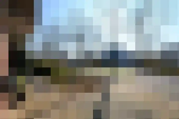 Grasland 11 Drachten thumbnail 8
