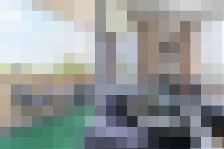 Grasland 16 't Zand thumbnail 14