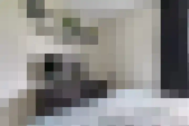 Grasland 16 't Zand thumbnail 24