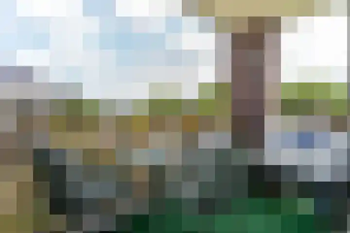 Grasland 16 't Zand thumbnail 30