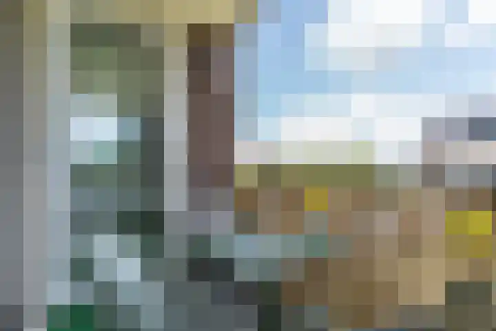 Grasland 16 't Zand thumbnail 31