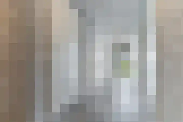 Grasland 16 't Zand thumbnail 32
