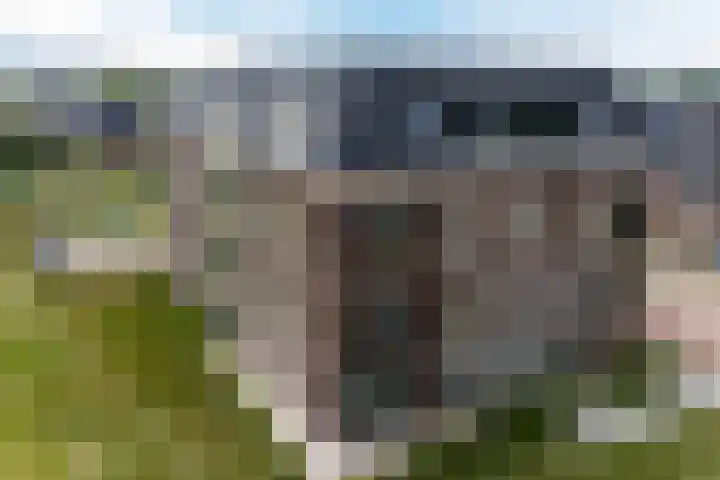 Grasland 16 't Zand thumbnail 33