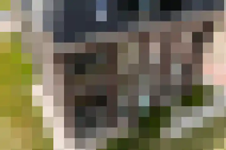 Grasland 16 't Zand thumbnail 34