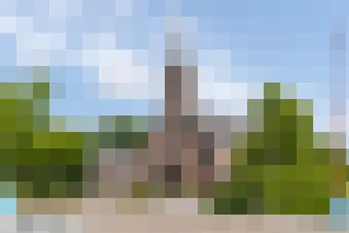 Grasland 16 't Zand thumbnail 35