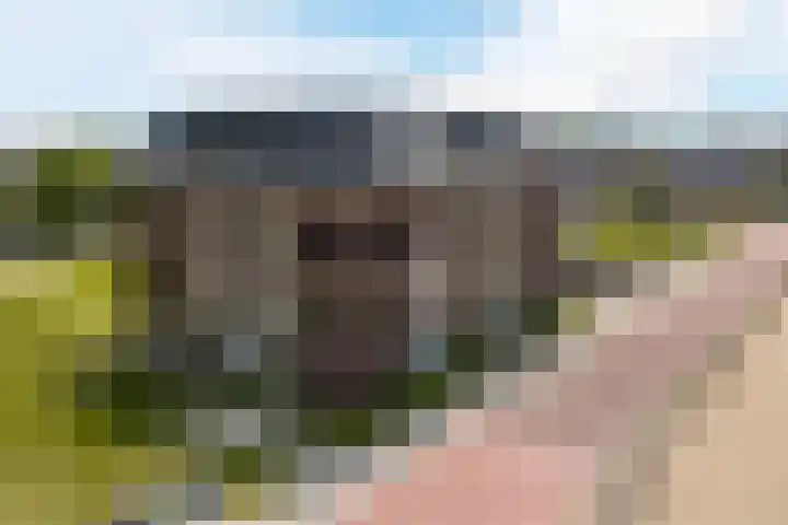 Grasland 16 't Zand thumbnail 4