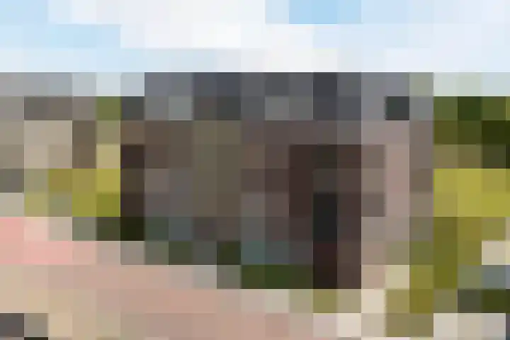 Grasland 16 't Zand thumbnail 40