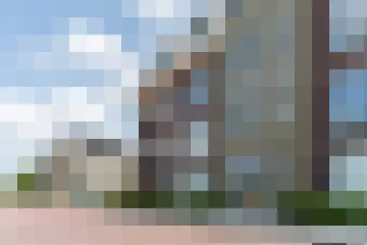 Grasland 16 't Zand thumbnail 5