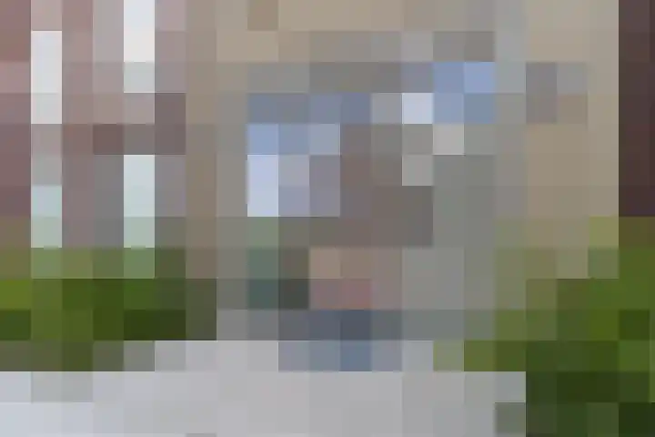 Grasland 16 't Zand thumbnail 6