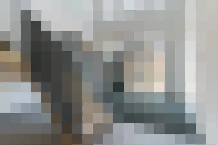 Grasland 16 't Zand thumbnail 8