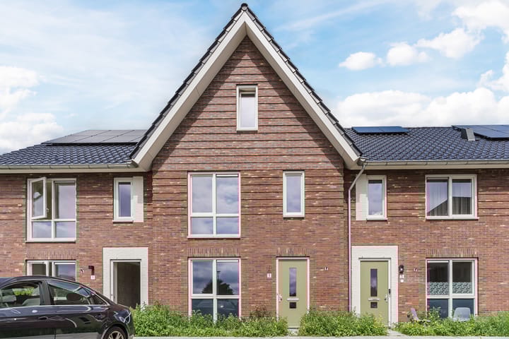 Grasland 3 in 't Zand Foto