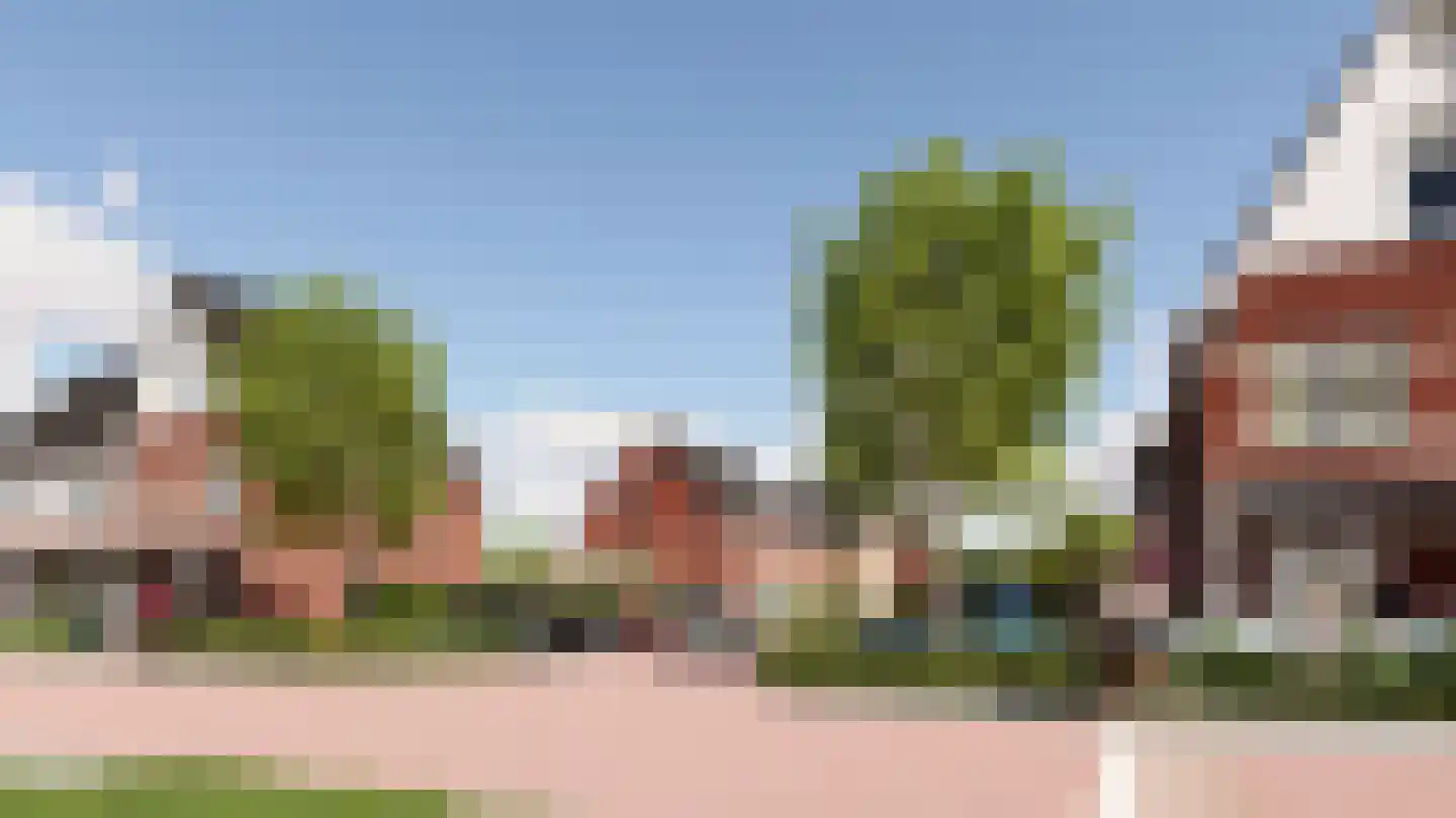 Grasland 3 Spierdijk thumbnail 4