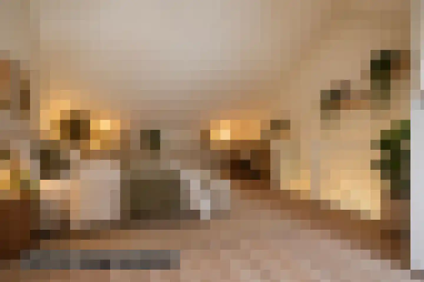 Grasland 3 't Zand thumbnail 32