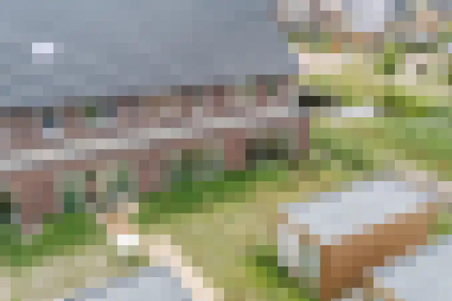 Grasland 3 't Zand thumbnail 9