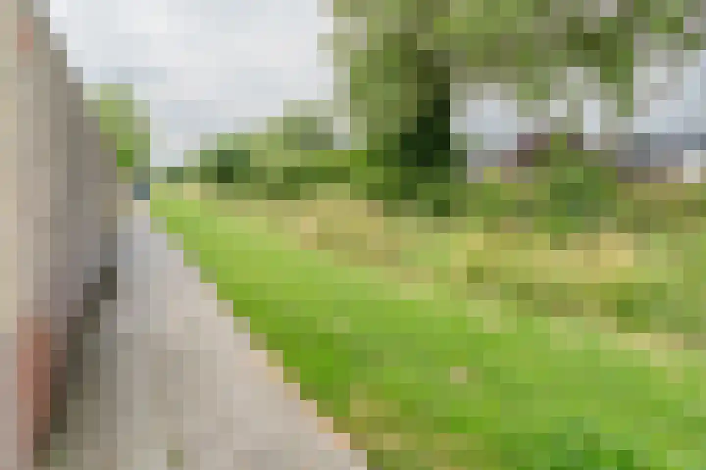 Grasland 31 Barneveld thumbnail 25
