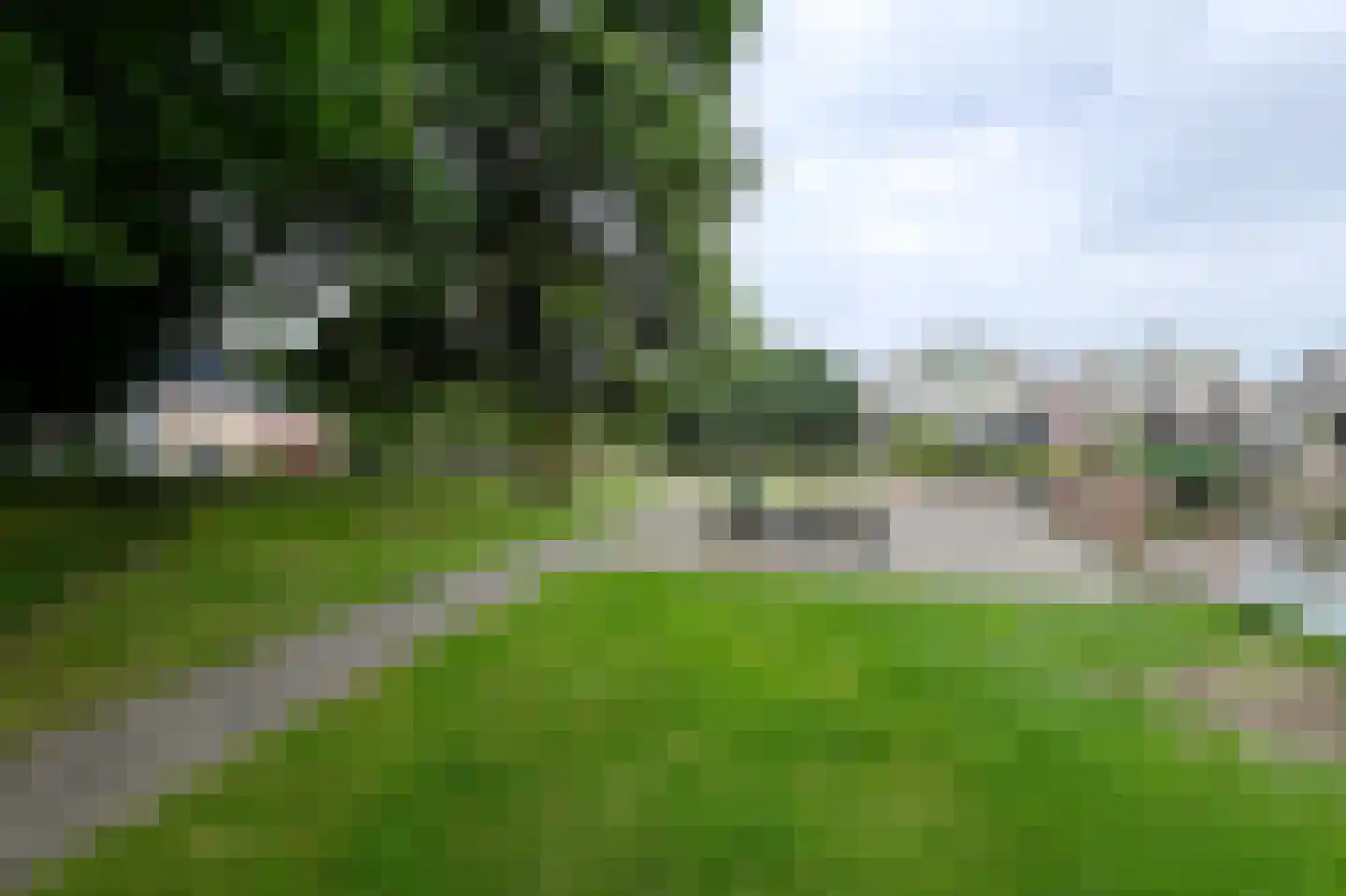 Grasland 31 Barneveld thumbnail 28