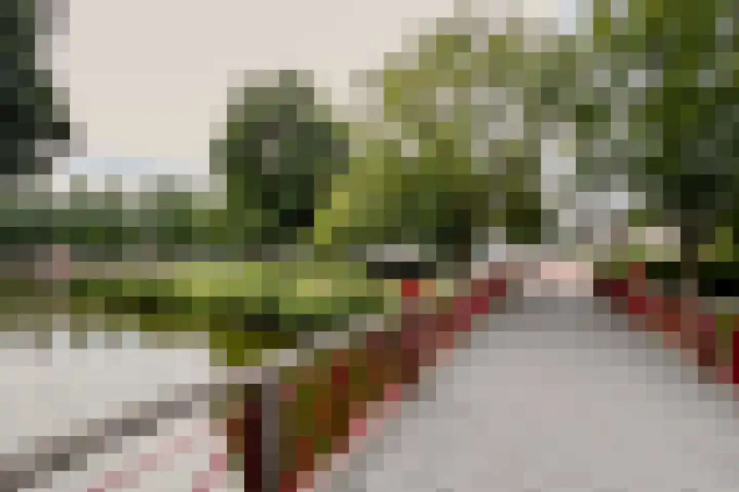 Grasland 31 Barneveld thumbnail 31
